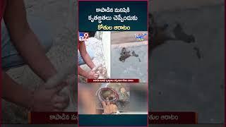 iSmart News : కాపాడిన మనిషికి కృతజ్ఞతలు చెప్పేందుకు కోతుల ఆరాటం - TV9