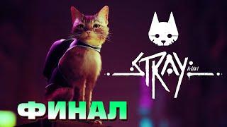 АНТОША ПРОХОДИТ ИГРУ ПРО КОТИКА - ФИНАЛ | Stray #3