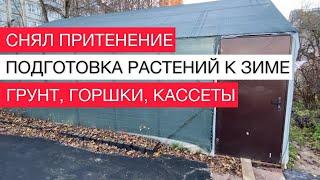 Снял притенение.Подготовка растений к зиме.Грунт, горшки, кассеты | Садовые дела