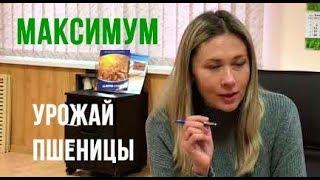 Как получить максимальный урожай пшеницы | Интервью с Еленой Дудкиной