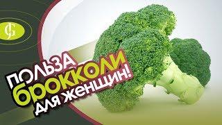 Польза брокколи для женщин. Капуста брокколи - полезные свойства и вред! JadeGift™