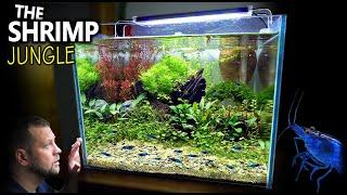 The Shrimp Jungle: NEW Tank Setup for Neocaridina Shrimp (Step By Step Aquascape Tutorial)