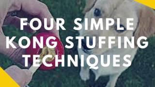 Four Simple Ways to Stuff A Kong So It Lasts