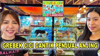 Grebek Cici Cantik Penjual Anjing Di Mall