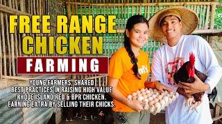 BEST FREE RANGE CHICKEN FARMING: YOUNG FARMERS, SHARED BEST PRACTICES IN RAISING RIR & BPR CHICKEN