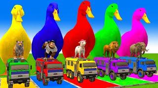 5 Giant Duck Cartoon,Cow,Mammoth,Dog,T-Rex,Lion,Tiger Paint Wild Animals Crossing Fountain Animation