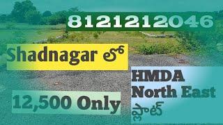 Nature City HMDA Plot for Sale in Shadnagar | HMDA Plots Shadnagar | Plot near Microsoft Data Centre