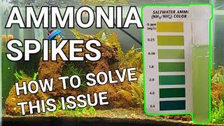 How To Fix An Ammonia Spike In Your Aquarium! - Lowering Ammonia Levels In 3 EASY Steps!