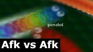 Wormax.io afk vs afk player.  (pindol)