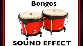 Bongos Sample | Sound Effect | Loops | HD