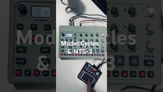 Elektron Model:Cycles & Korg NTS-3 Kaoss Pad #shorts #beats #beatbox