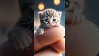 Oh My God Wait for andsmallest Baby Cat you've ever imagined#shorts #animals #Cat #고양이