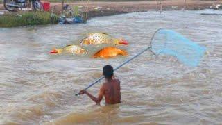 New Fishing In Flood Season, Amazing Fishing Skills In River 2024