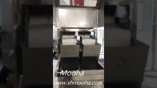 Semi automatic detergent powder granule filling packing machine net weight machine weigh filler