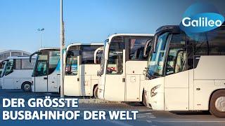 Hier fahren bis zu 2000 Busse pro Tag! - Wie funktioniert so ein Mega-Busbahnhof?