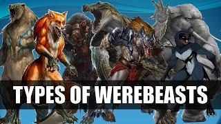 Types Of Werebeasts : Between Man And Beast