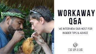 WORKAWAY Q&A | OUR HOSTS TOP TIPS