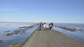 Lindisfarne (Holy Island) Causeway Tide Timelapse