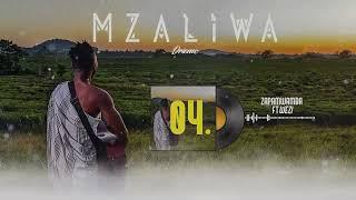 DRIEMO ft WEZI - Zapamwamba (official audio Visualizer)