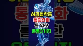 허리협착증 통증완화를 위한 운동3가지 #건강관리 #건강 #허리통증 #하체스트레칭 #허리통증운동 #협착증