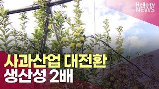 사과산업 대전환…생산성 2배ㅣ#헬로tv뉴스