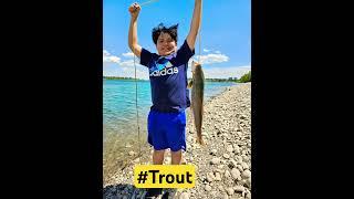 Another Trout Day #trout #fishing  #fishingisfun #fishingislife #fishingvideo #browntrout #glenmore