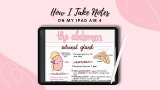 How I Take Notes on My iPad 