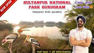 Sultanpur national park gurugram haryana- Now open | Tickets, timings & all other information