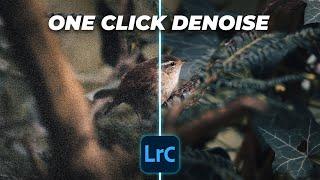 Remove Noise in One Click in Lightroom | Tutorial Tuesday