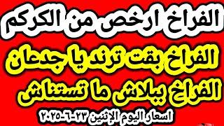 اسعار الفراخ البيضاء اليوم اسعار الدواجن اليوم الاثنين ٢٣-٦-٢٠٢٥ جمله وقطاعي في مصر