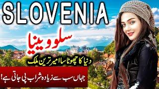 Travel To Slovenia | Full History And Documentary About Slovenia In Urdu & Hindi | سلووینیا کی سیر