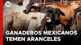 MÉXICO | Preocupación en agricultores y ganaderos mexicanos por aranceles de EEUU