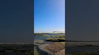 Ocean Grove Rock pools️ #shorts #melbourne #beach #summer