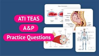 ATI TEAS 7 Science | ATI TEAS Anatomy and Physiology Practice Questions