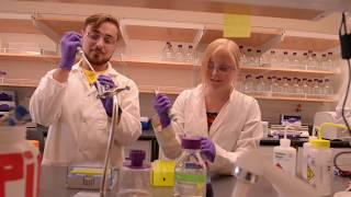 Ph.D Students | ASU School of Molecular Sciences