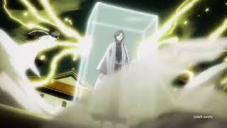 Soi Fon and Yoruichi vs Unohana