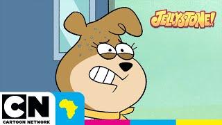 Choir Choir, Pants on Fire! | Jellystone! | Cartoon Network Africa