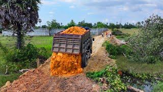 Start New Project Rebuild New Road to Village Flooded Area !! Bulldozer Push Soil , Truck Unloading