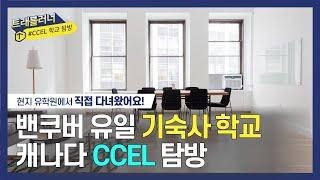 [캐나다 유학원 트래블러너] 밴쿠버 어학원 탐방 #3 CCEL | 기숙사 학교 | 코업 프로그램 | 무료 워크샵 | 캐나다 어학연수