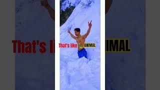 #animal #likethisvideo #trending #shorts #viral 