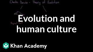 Evolution and human culture | Society and Culture | MCAT | Khan Academy