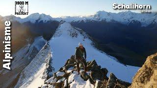 Alpinisme : Schalihorn 3974 m