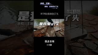 洋澜一 - 是我爱过了头