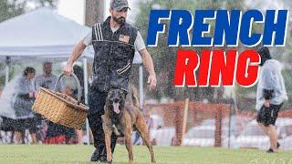 FRENCH RING TRAINING!! LEVEL 3 DOG VS. NEW DECOY!!