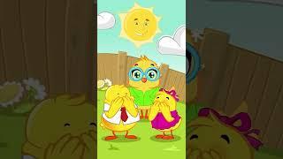 هالصيصان كيوت | كتاكيت بيبي #babysongs #rhymes #childrensongs #kidscartoon #kidseducation #kidsong #