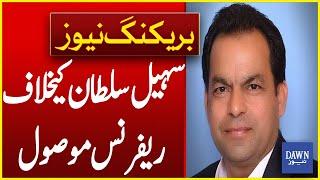 Reference Found Against Sohail Sultan | Breaking News | Dawn News