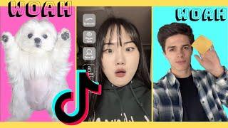 Tik Tok Woah Song Challenge 2020 | Compilation #1