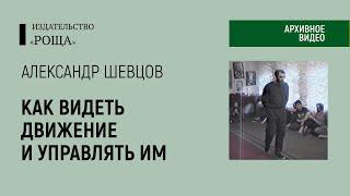 Александр Шевцов: Образ движения. Как видеть движение и управлять им