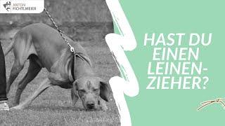 Du hast einen Leinenzieher? - Hundetraining nach Anton Fichtlmeier