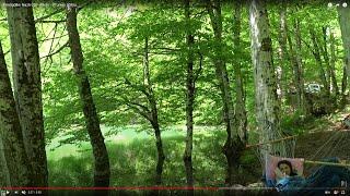 #Yedigöller Nazlı Göl - #Bolu - #Turkey  1080p